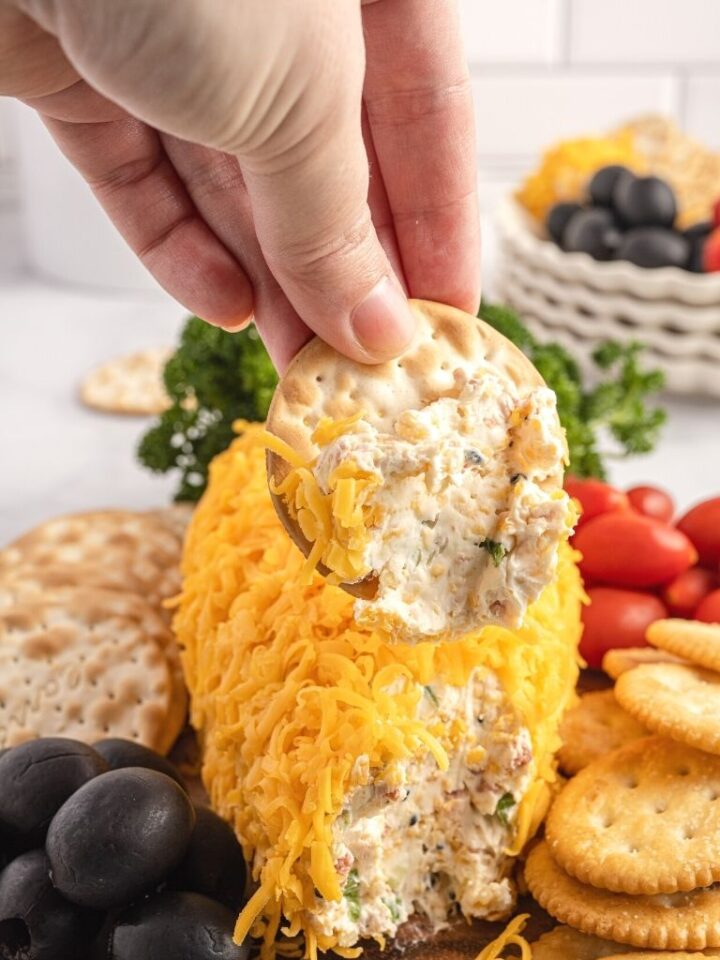 Easter Carrot Cheeseball Together as Family