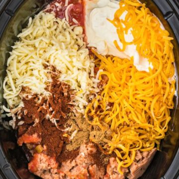 Ingredients inside a crock pot showing what it takes to make this recipe.