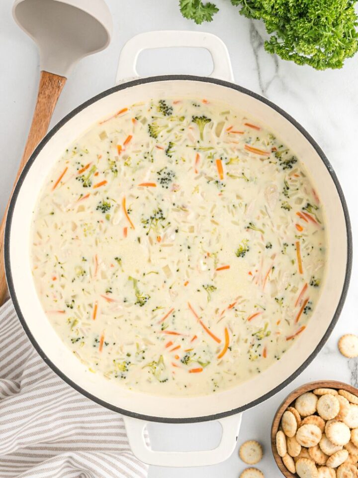 Rice-a-Roni Chicken Soup - Together as Family