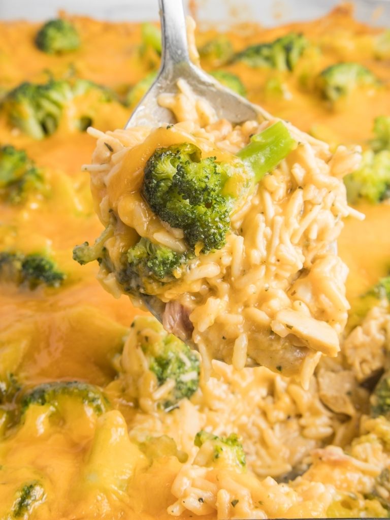 Spoonful of casserole with cheese and broccoli. 