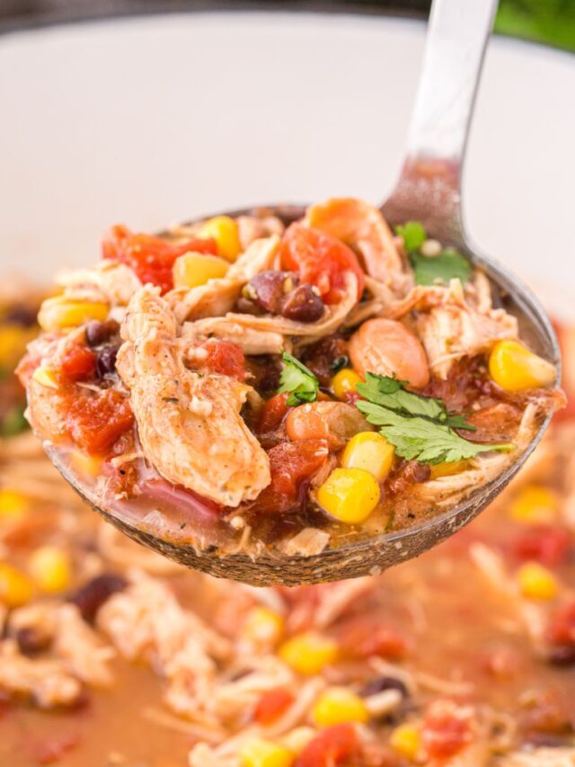 Easy Chicken Taco Soup Together as Family