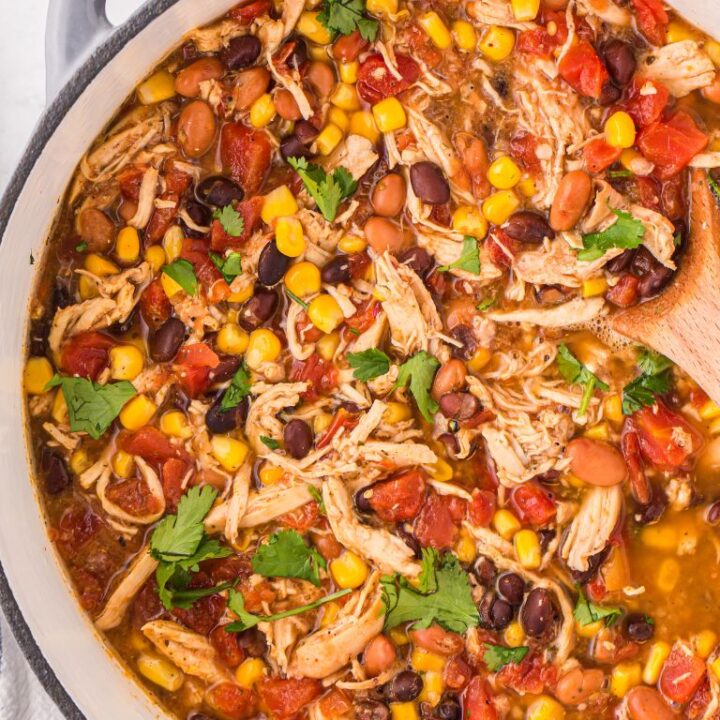 Easy Chicken Taco Soup - Together as Family