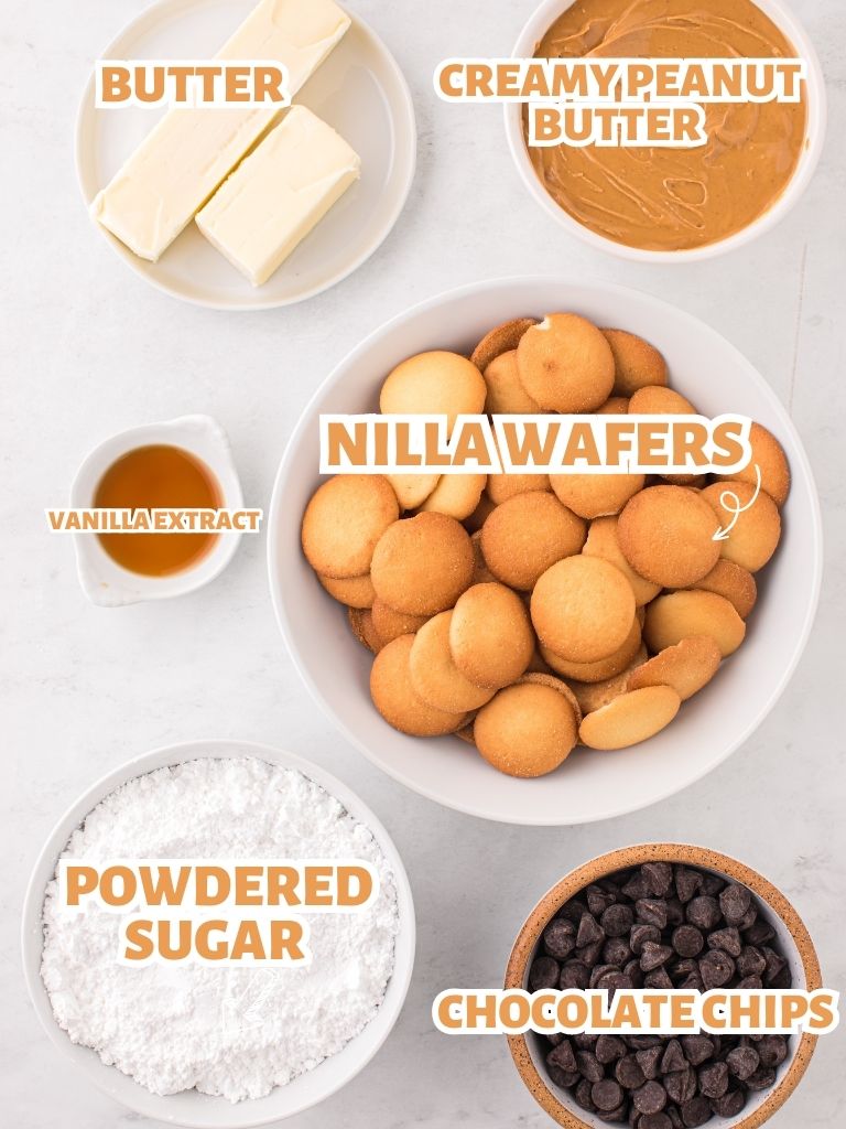 Labeled ingredients for this no bake recipe.