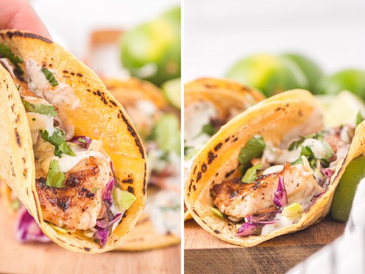 Grilled Tilapia Fish Tacos Together as Family