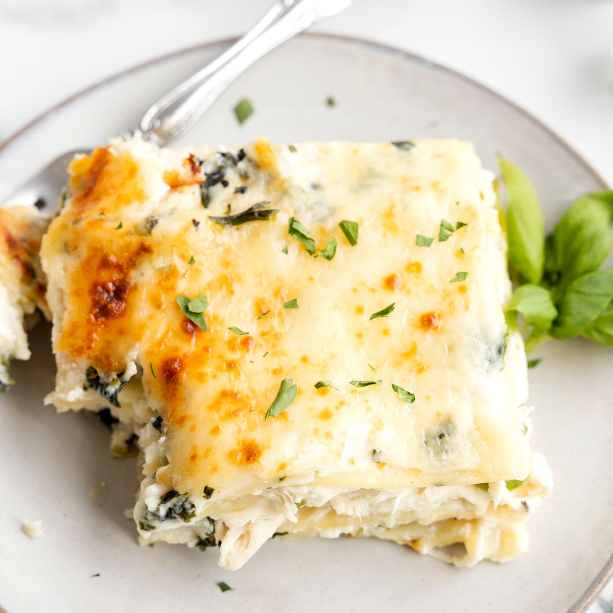 White Lasagna Recipe - Together as Family