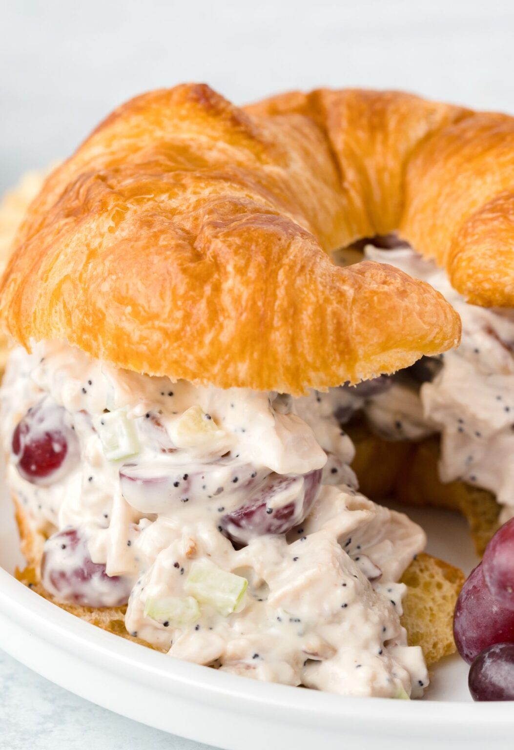 Poppyseed Chicken Salad Together as Family