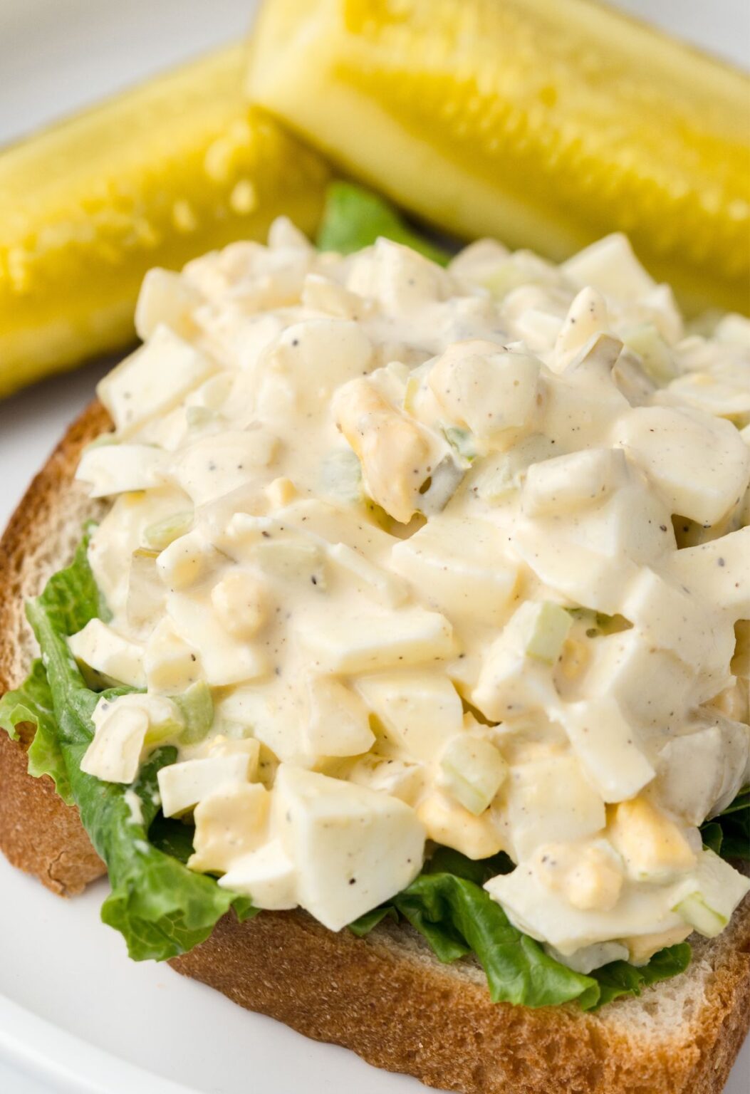 Creamy Dill Pickle Egg Salad Recipe Together as Family