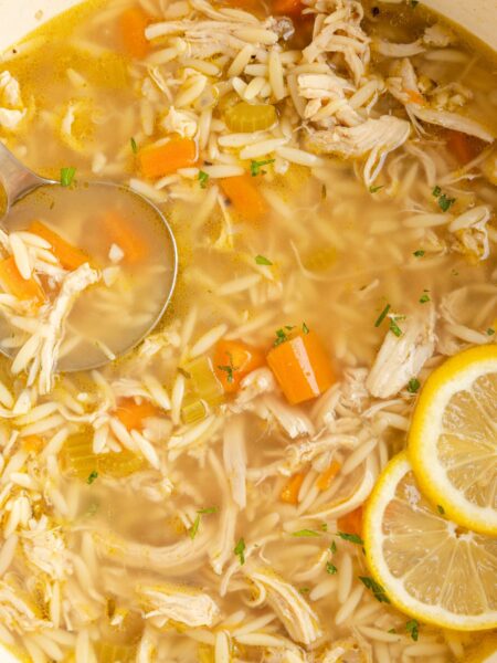 One pot of soup with fresh lemon slices in it and a soup ladle.