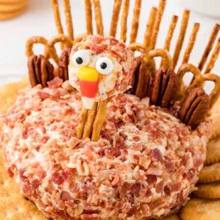 A cheeseball with pretzels in it and a head to make it look like a turkey.