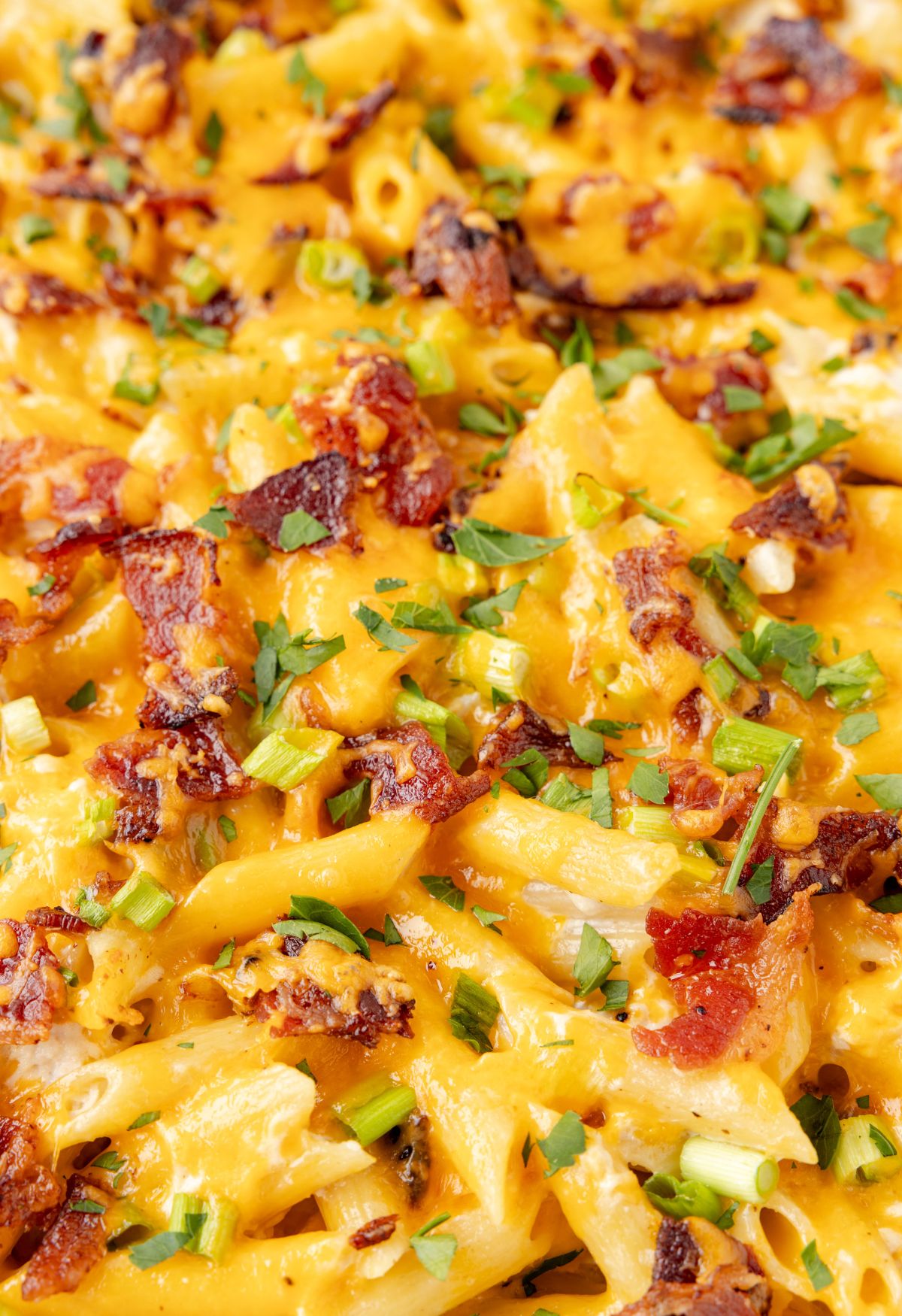 Easy Chicken Bacon Ranch Casserole Recipe - Together As Family