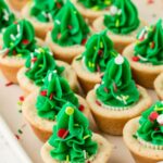 hero image of the christmas tree