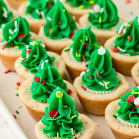 hero image of the christmas tree