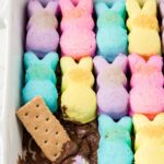 A pan of peeps smores with a graham cracker piece sticking into it.