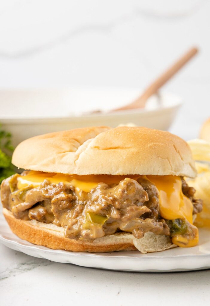 A sloppy Joe ready to eat on a white plate