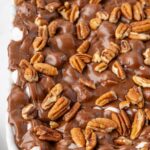 Mississippi Mud Cake inside the white baking pan with pecans and chocolate on top.