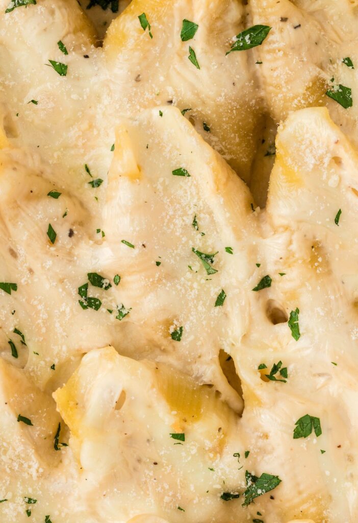 Close up of the stuffed shell with chicken and Alfredo sauce. 