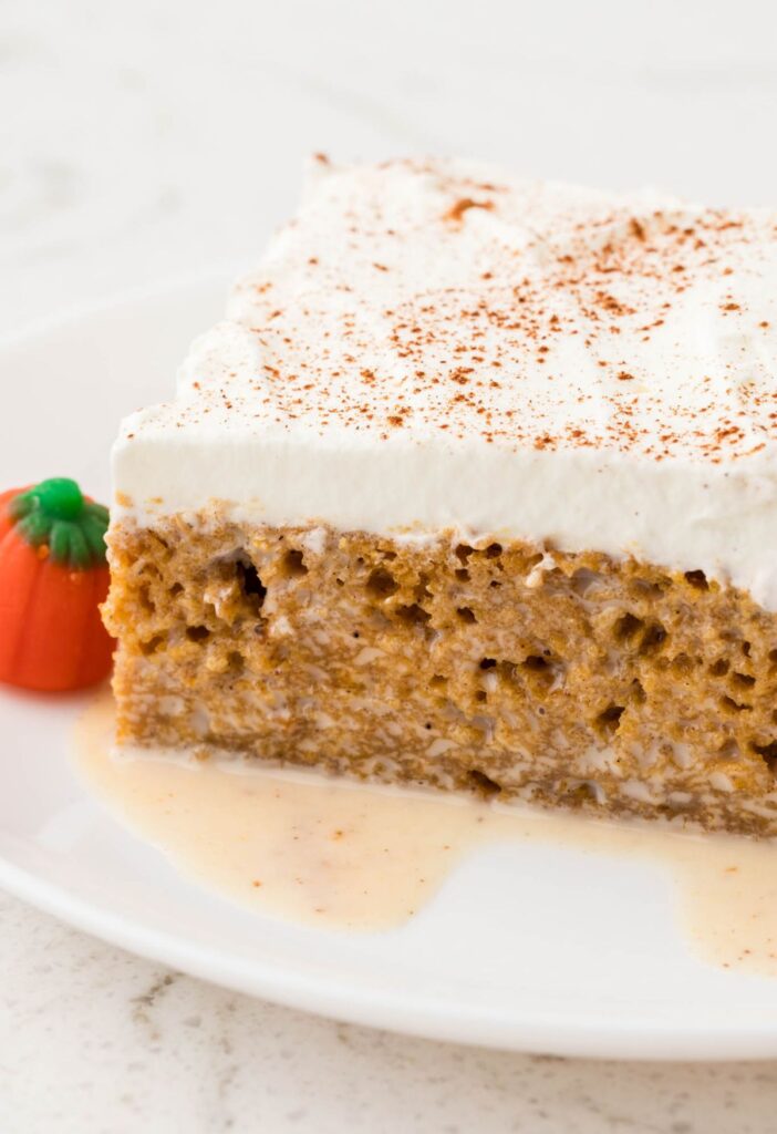 Side view of the slice of pumpkin cake