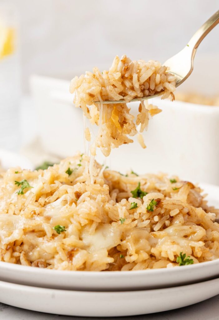 hero image of fork with rice on it