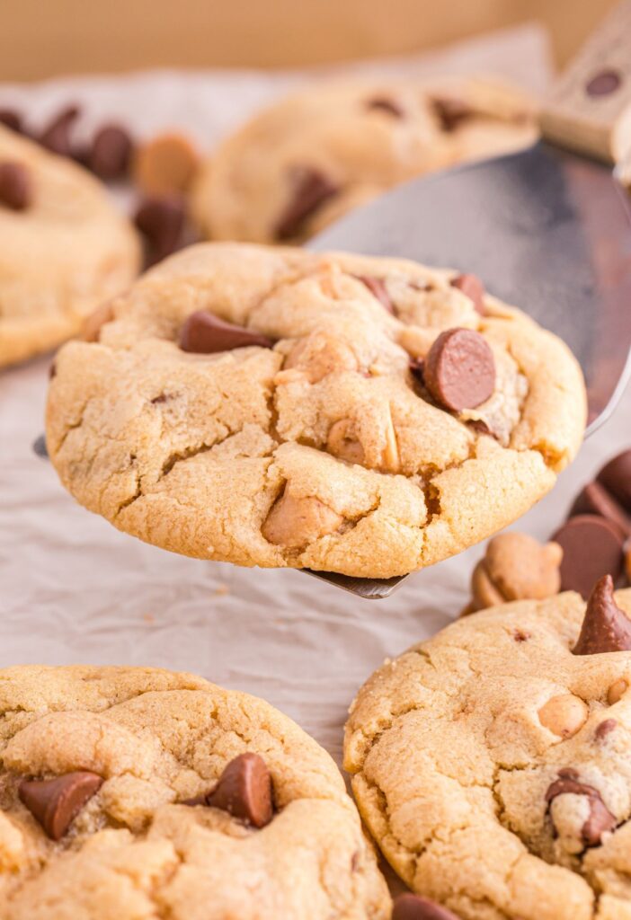 A cookie spatula holding a cookie on it