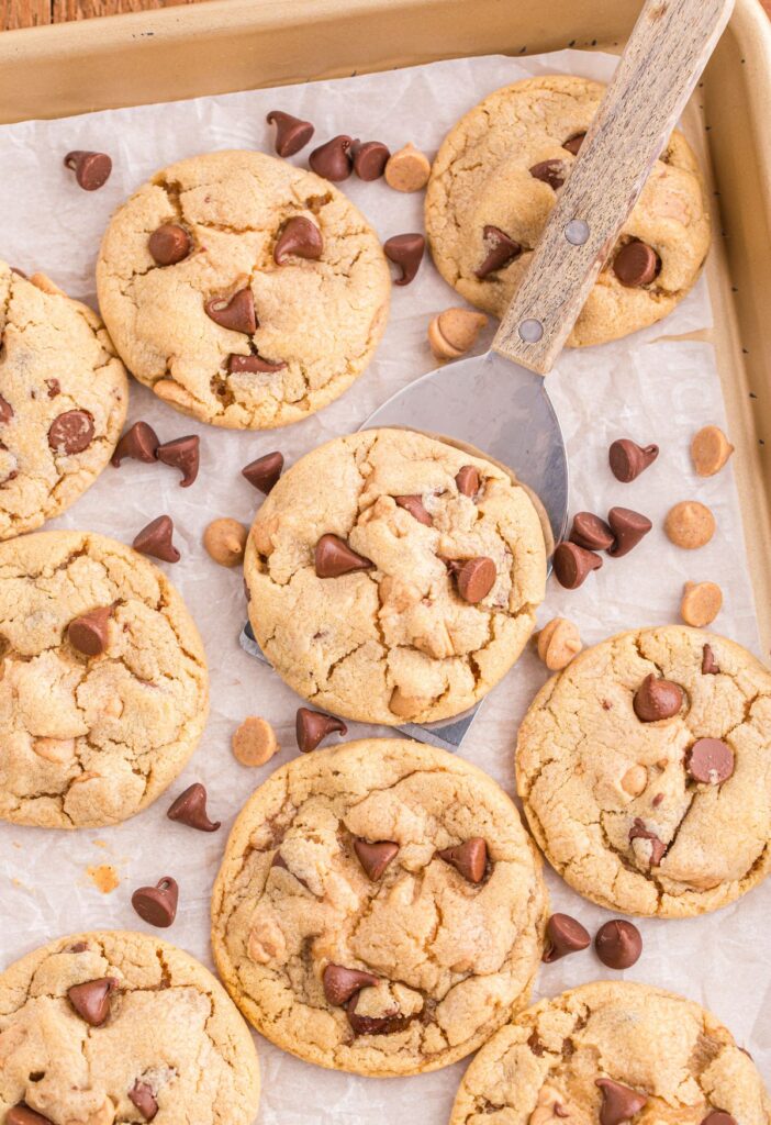 Baked cookies on a cookie sheet with a cookie spatula picking one up.