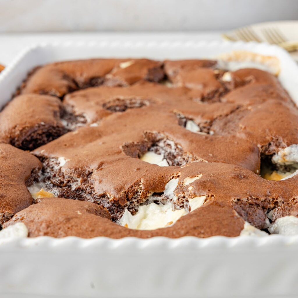 side view of the baked earthquake cake 