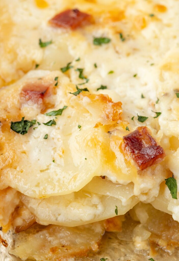 hero image of a serving of scalloped potato casserole with ham