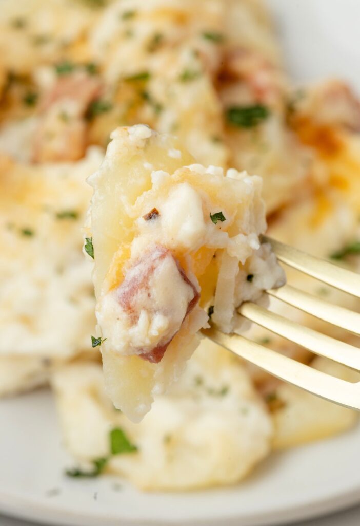 hero image of a serving of scalloped potato casserole with ham