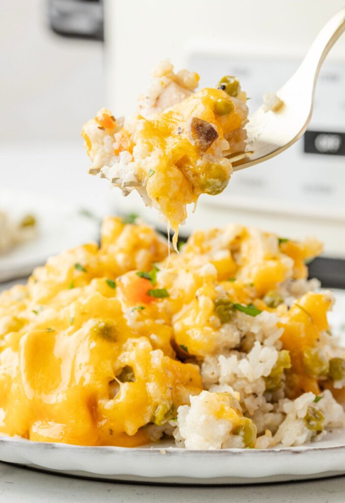 A fork with some chicken and rice on it