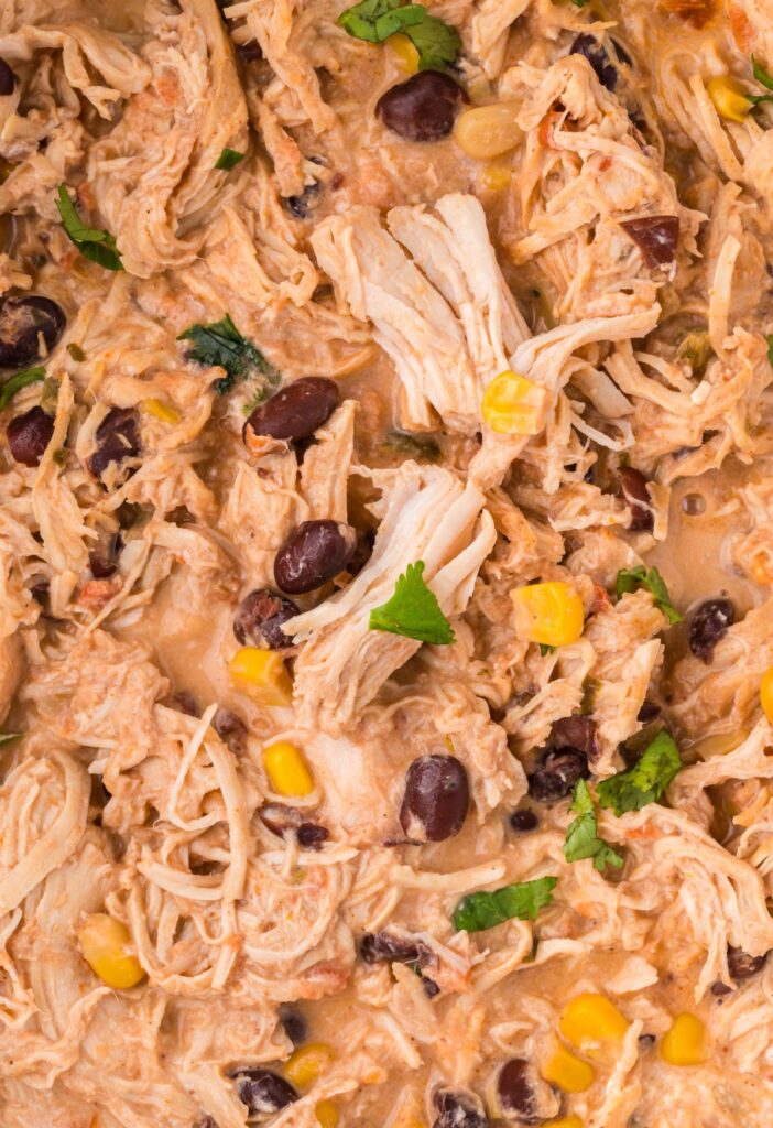 Up close picture of the fiesta chicken with cream cheese