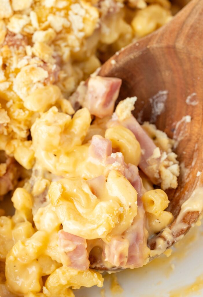 Cheesy casserole with ham