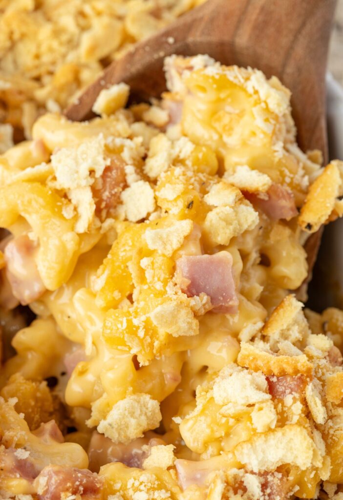 Close up of the ham casserole with cheese sauce on a wooden serving spoon. 