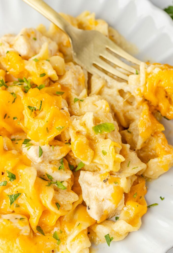 White plate of the egg noodle cheesy chicken casserole