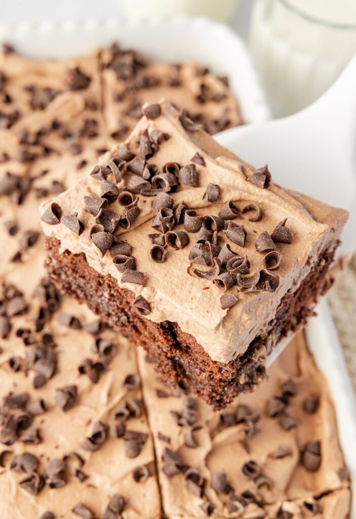 A spatula with a piece of cake on it