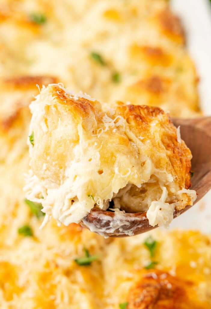 Casserole with biscuits, chicken, and Alfredo Sauce