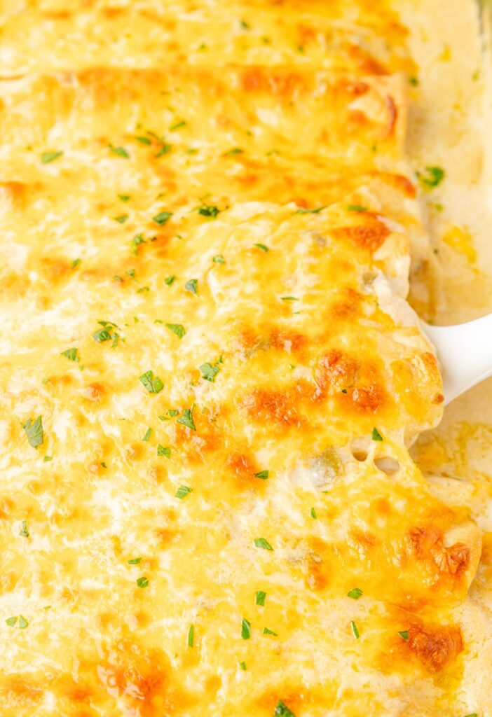 Pan of chicken enchiladas with sour cream sauce and cheese on top.