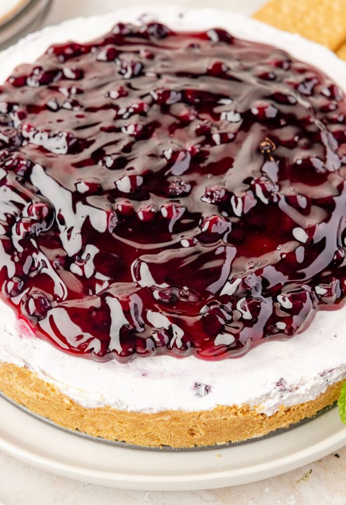 A blueberry cheesecake on a white plate