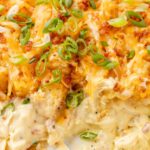 Close up of the casserole dish and creamy sauce