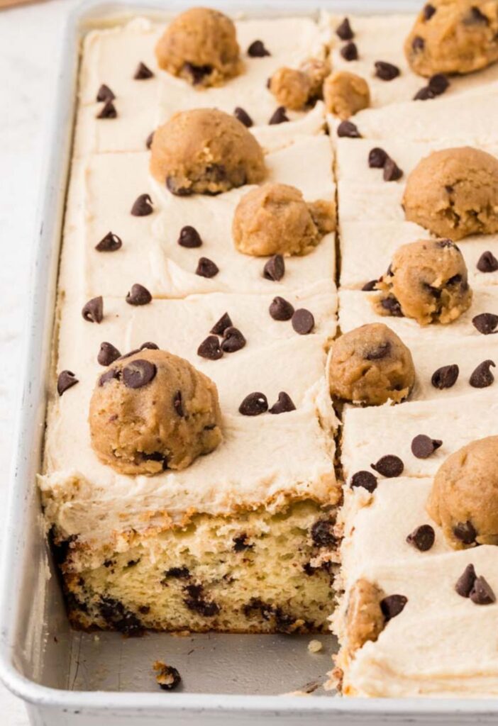 side view of the chocolate chip cake inside the 9x13 cake pan