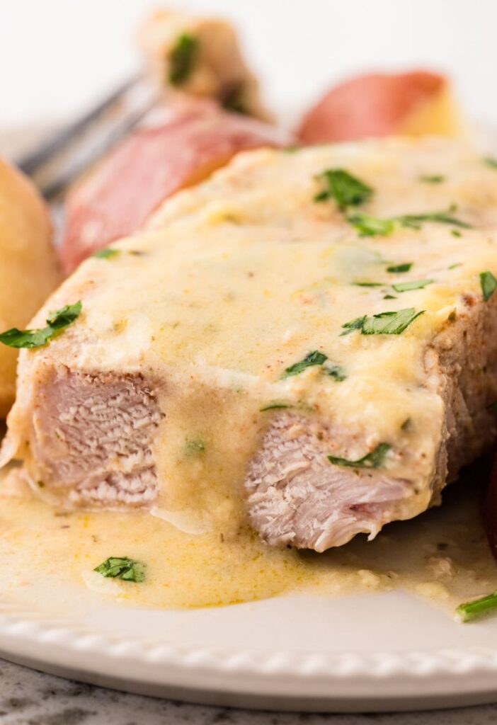 hero image for pork chops