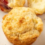 A biscuit sitting on a plate for serving.
