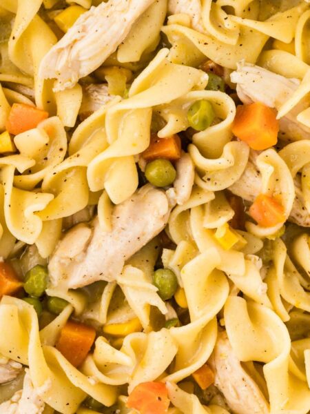 Close up of pot pie noodles