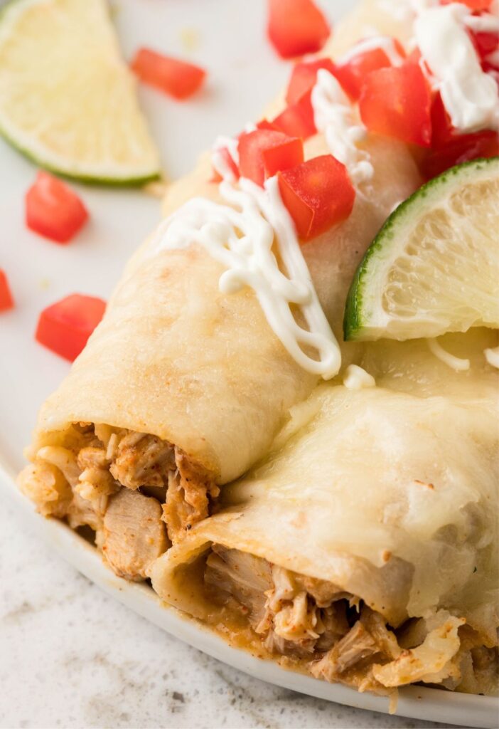 Two enchiladas on a white plate