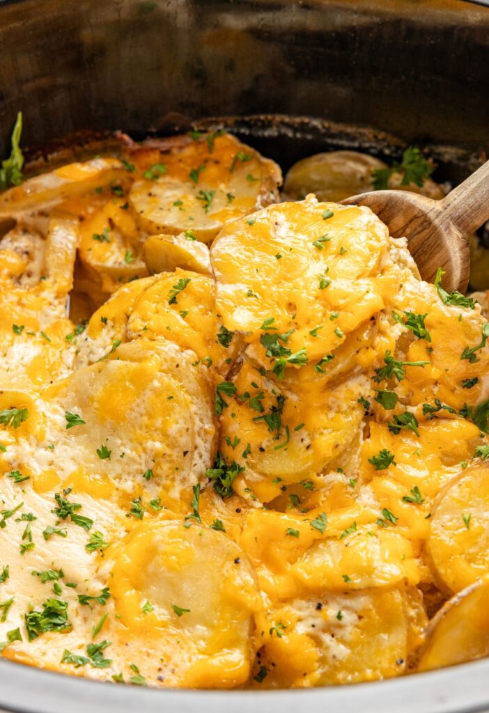 Baked scalloped potatoes inside the slow cooker