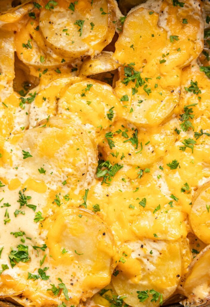 Close up of the scalloped potatoes with melted cheese on top.